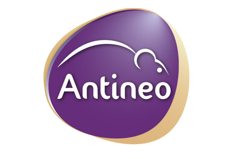 antineo 768x511