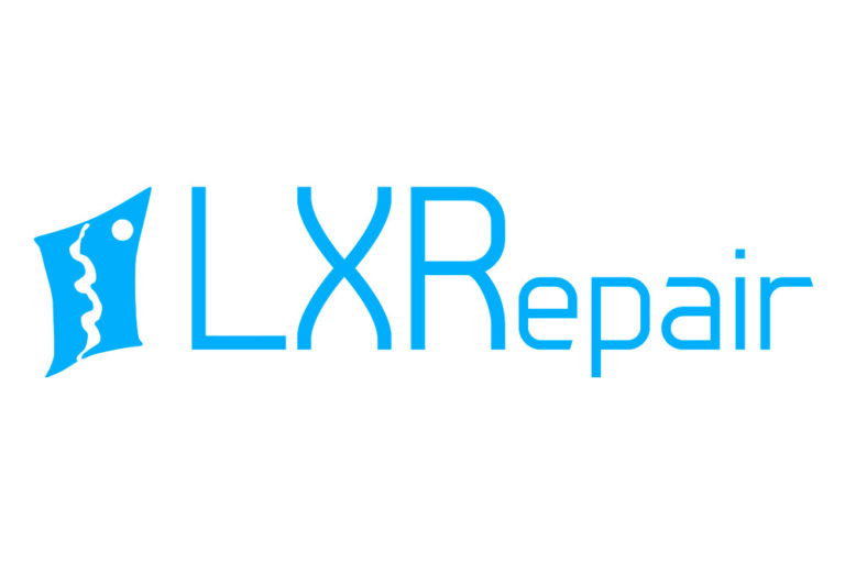 lxrepair 768x512